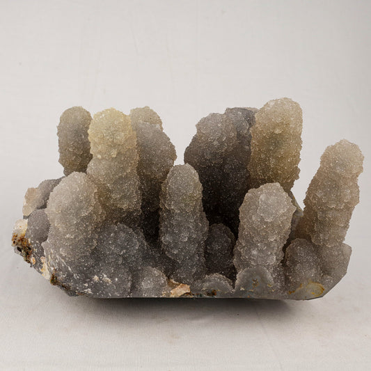 Chalcedony Stalactite Coral Formation Natural Mineral Specimen # B 5528 Chalcedony Superb Minerals 