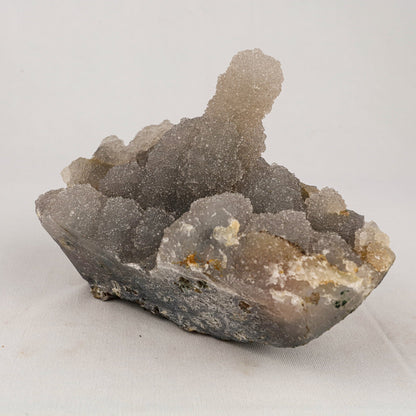 Chalcedony Stalactite Coral Formation Natural Mineral Specimen # B 5532 Chalcedony Superb Minerals 