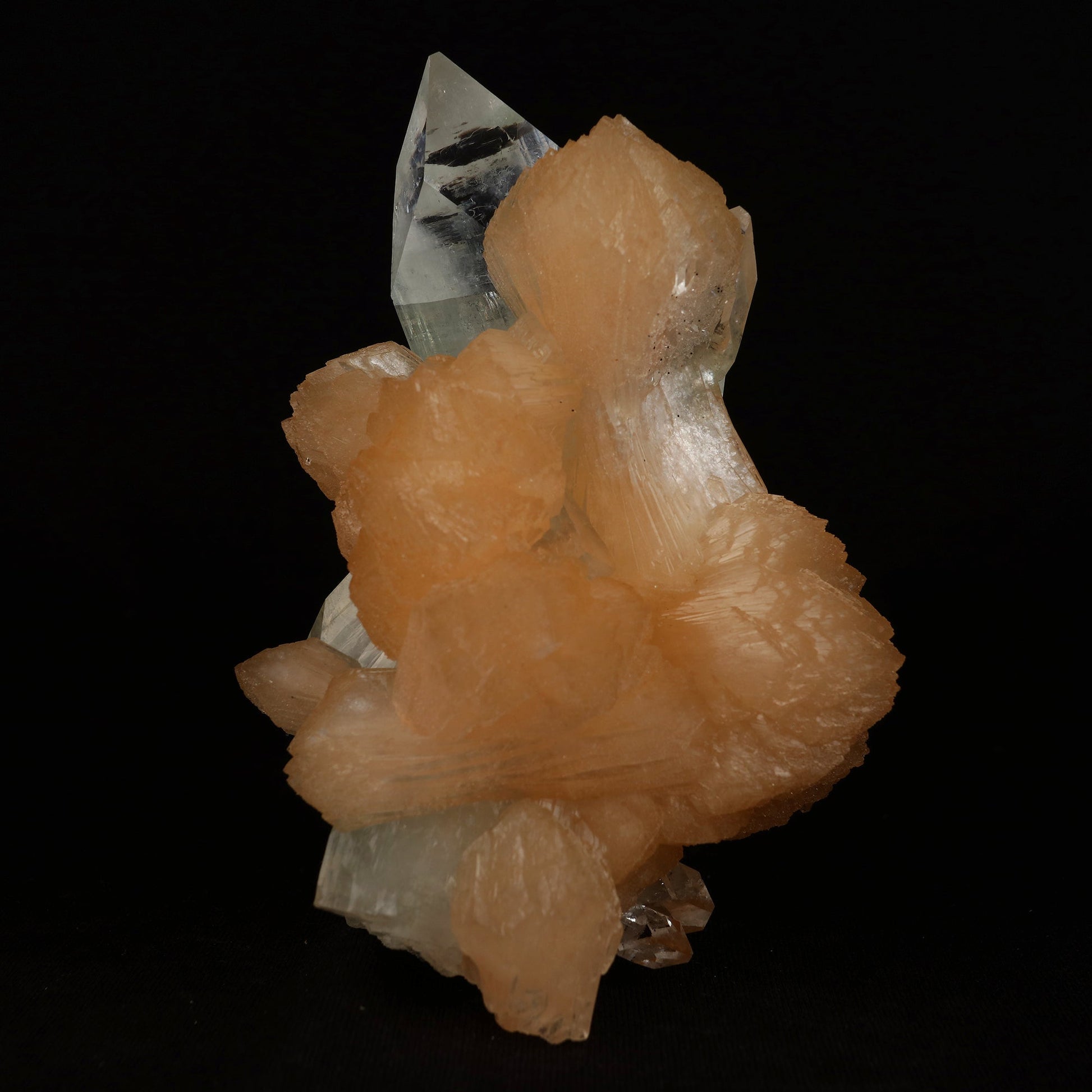Clear Apophyllite With Stilbite Natural Mineral Specimen # B 5079  https://www.superbminerals.us/products/clear-apophyllite-with-stilbite-natural-mineral-specimen-b-5079  Features: Highlighted by a highly lustrous and partially gemmy, colorless fluorapophyllite crystal, this specimen also exhibits lustrous and translucent, pink stilbite crystals, to 2.8 cm in length. This specimen is a superb, sparkling combo piece! It is complete alla round and looks like a sparkling tower. 