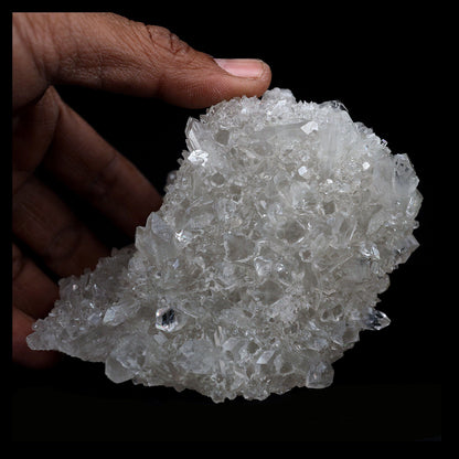 Coated Calcite with Gemmy Apophyllite Natural Mineral Specimen # B 410…  https://www.superbminerals.us/products/coated-calcite-with-gemmy-apophyllite-natural-mineral-specimen-b-4105  Features:Lustrous transparent-to-translucent colorless Apophyllite crystals with translucent gemmy bladed coated calcite crystals covering the front face of a prismatic Apophyllite crystal that is coated with sugar-like Calcite microcrystals.Primary Mineral(s): ApophylliteSecondary Mineral(s): 