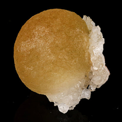 Fluorite balls on MM Quartz Natural Mineral Specimen # B 5781 Fluorite Superb Minerals 