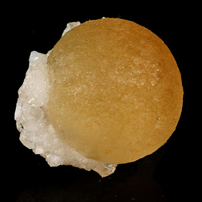 Fluorite balls on MM Quartz Natural Mineral Specimen # B 5781 Fluorite Superb Minerals 