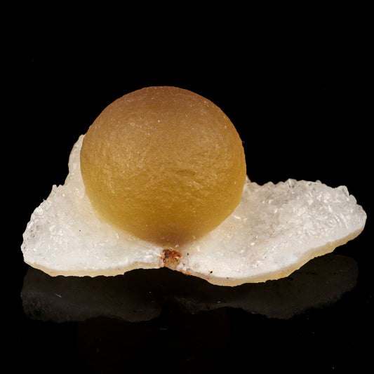 Fluorite balls on MM Quartz Natural Mineral Specimen # B 5794 Fluorite Superb Minerals 