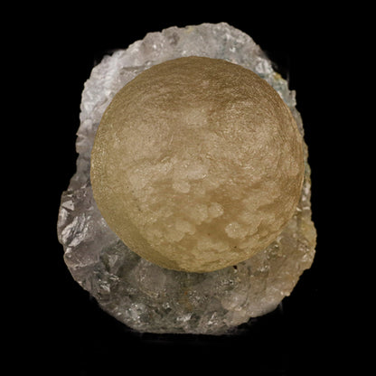 Fluorite balls on MM Quartz Natural Mineral Specimen # B 5935 Fluorite Superb Minerals 