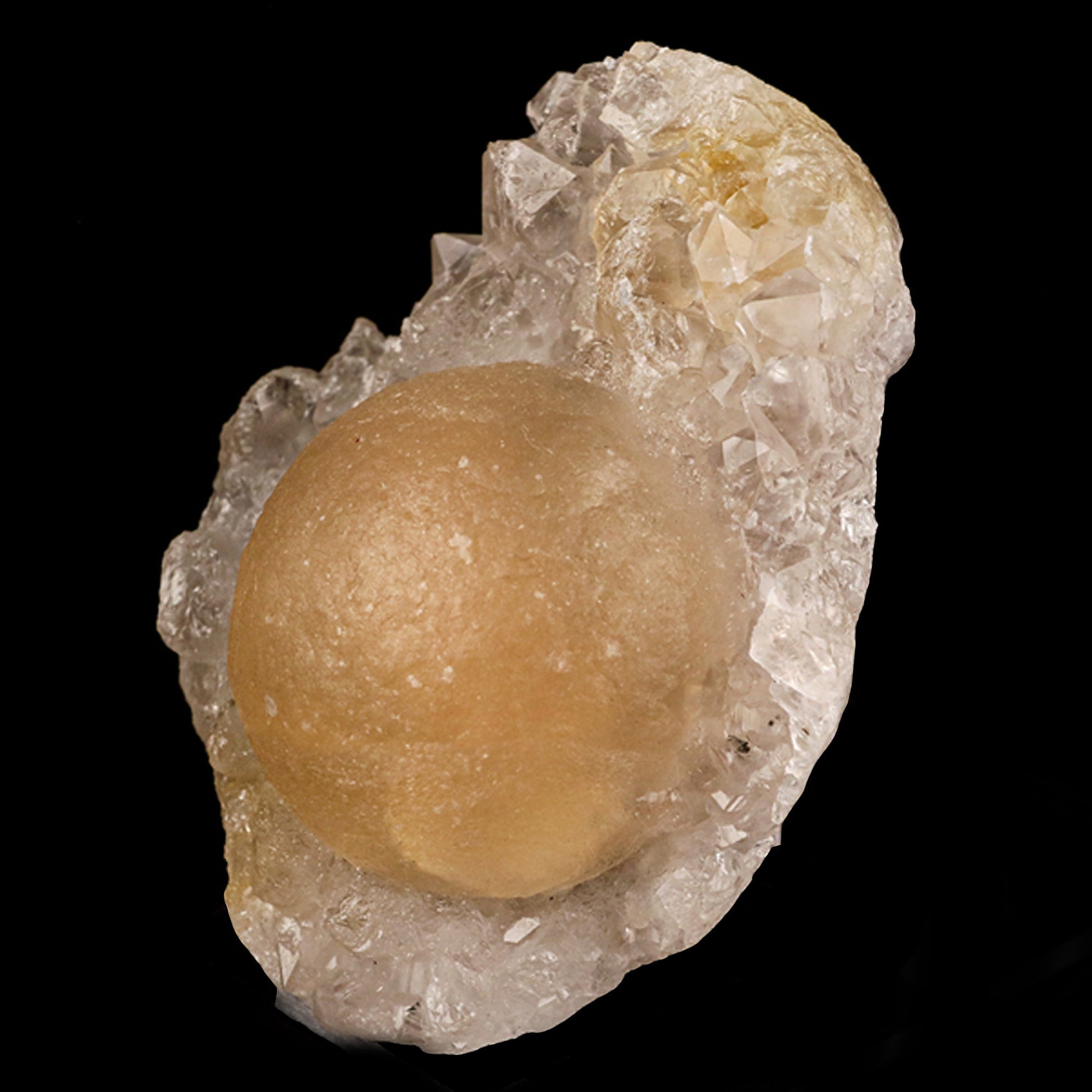 Fluorite balls on MM Quartz Natural Mineral Specimen # B 5939 Fluorite Superb Minerals 