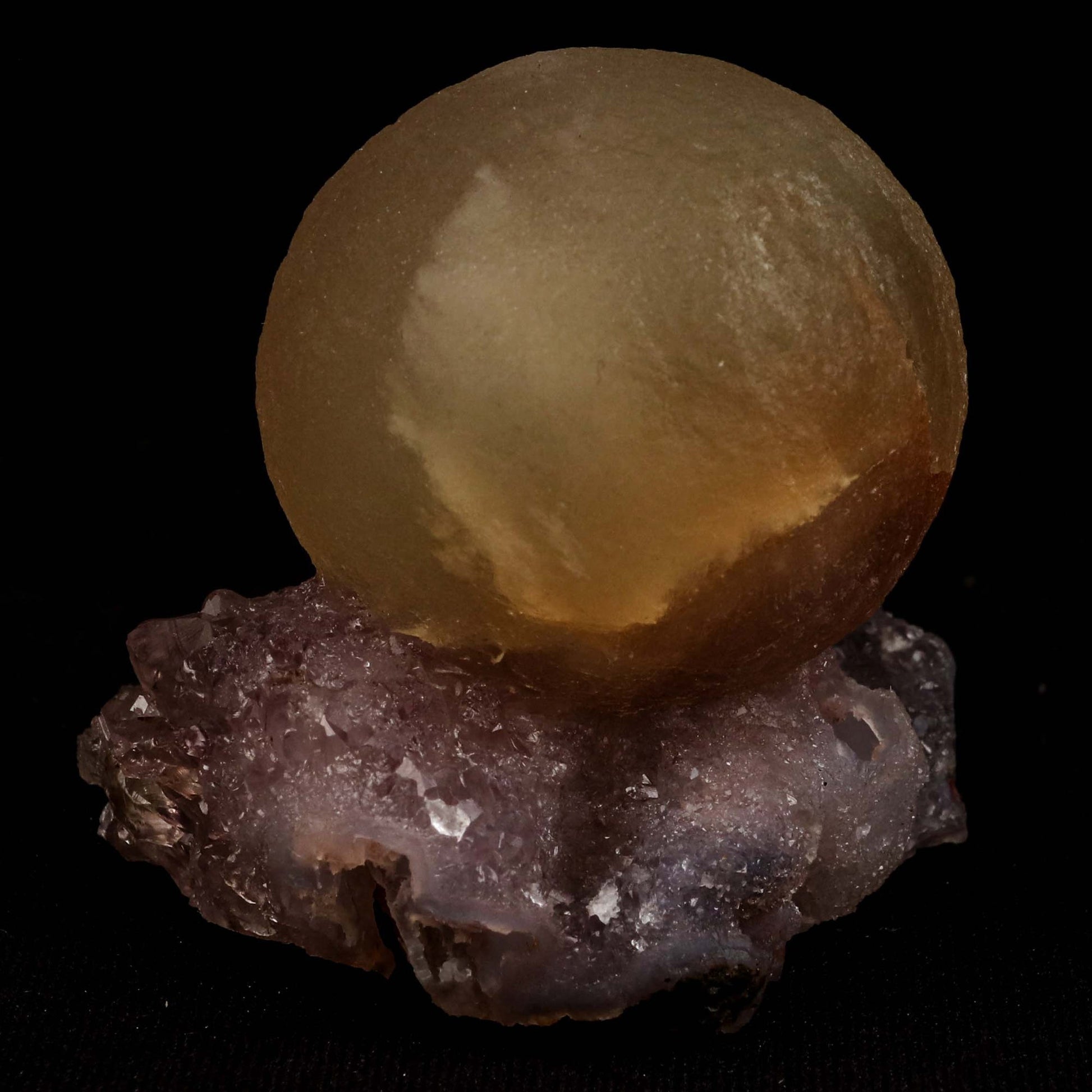 Fluorite Botridoal on Amethyst Natural Mineral Specimen # B 5194  https://www.superbminerals.us/products/fluorite-botridoal-on-amethyst-natural-mineral-specimen-b-5194  Features: An extremely botryoidal "ball" of Fluorite perches above an incredibly rich purple-colored Amethyst on Chalcedony and host rock matrix, resulting in an unusually stunning specimen. The Fluorite is a creamy-white tone on the surface that gradually fades away to a golden tint in the centre.