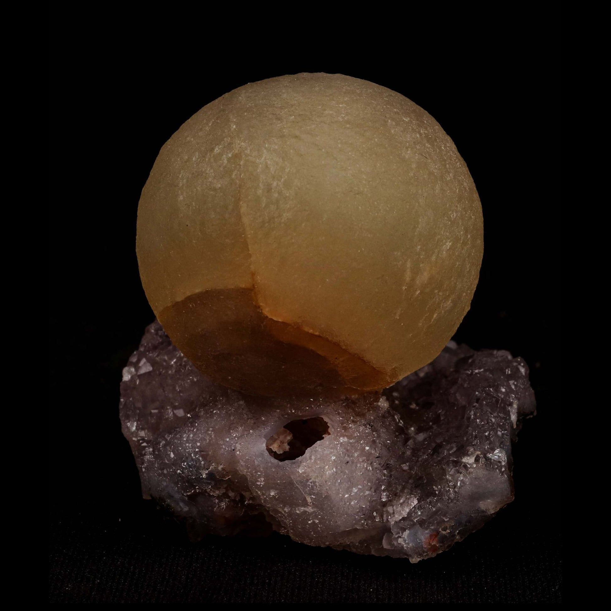 Fluorite Botridoal on Amethyst Natural Mineral Specimen # B 5194  https://www.superbminerals.us/products/fluorite-botridoal-on-amethyst-natural-mineral-specimen-b-5194  Features: An extremely botryoidal "ball" of Fluorite perches above an incredibly rich purple-colored Amethyst on Chalcedony and host rock matrix, resulting in an unusually stunning specimen. The Fluorite is a creamy-white tone on the surface that gradually fades away to a golden tint in the centre.