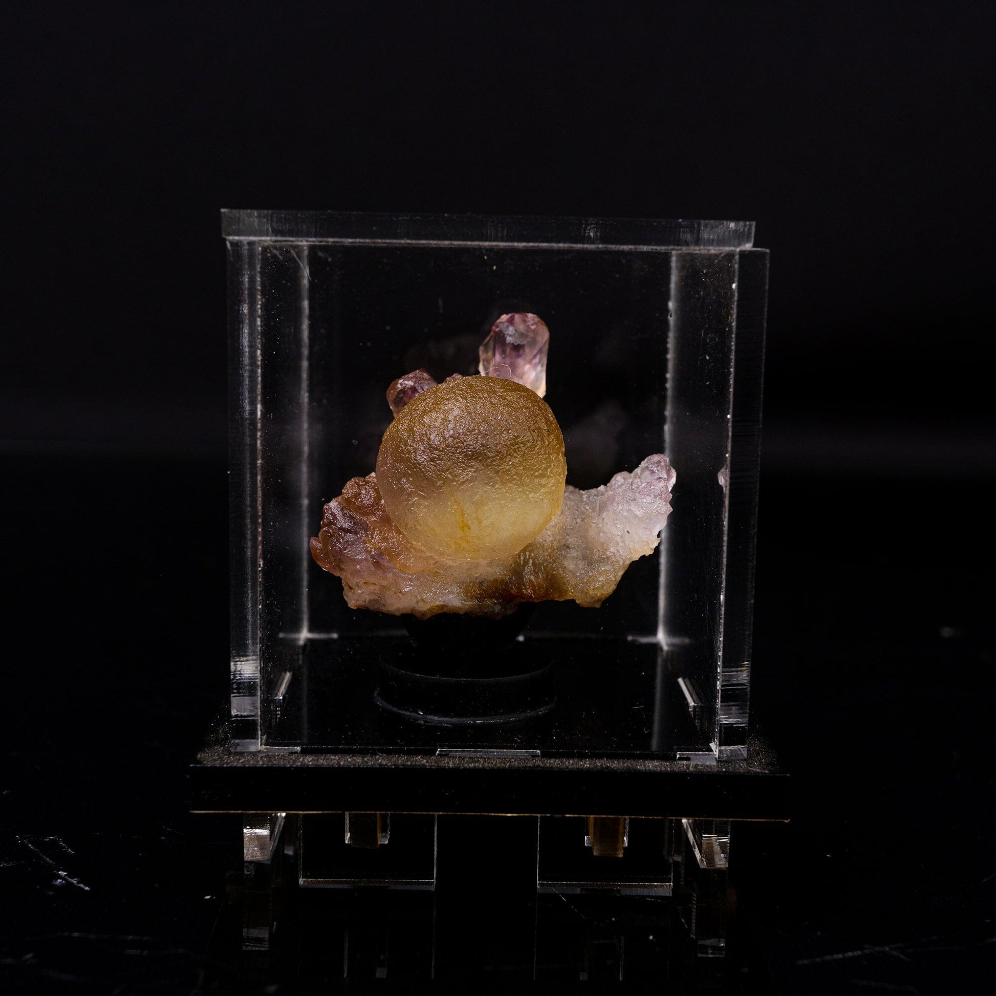 Fluorite Botridoal on Amethyst Natural Mineral Specimen # B 6719 Fluorite Superb Minerals 