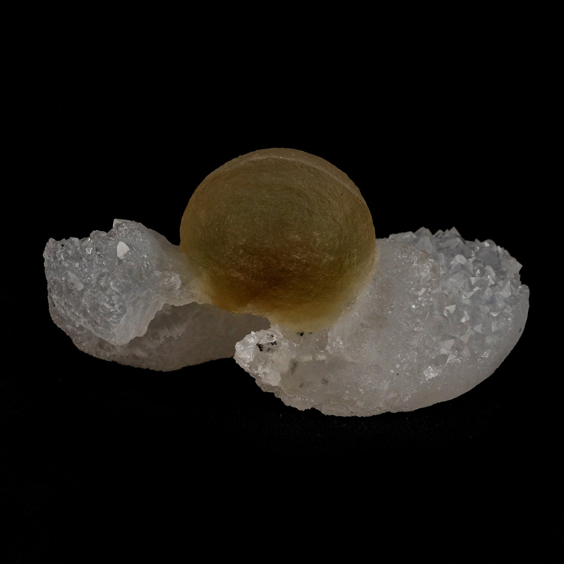 Fluorite Botridoal on MM Quartz Natural Mineral Specimen # B 5131  https://www.superbminerals.us/products/fluorite-botridoal-on-mm-quartz-natural-mineral-specimen-b-5131  Features: These golden botryoidal fluorites are unique and extremely attractive. This specimen features a a very gemmy, good sized, rich golden color, fluorite "sphere" on gemmy, colorless, stubby quartz crystal matrix. Primary Mineral(s): Fluorite
