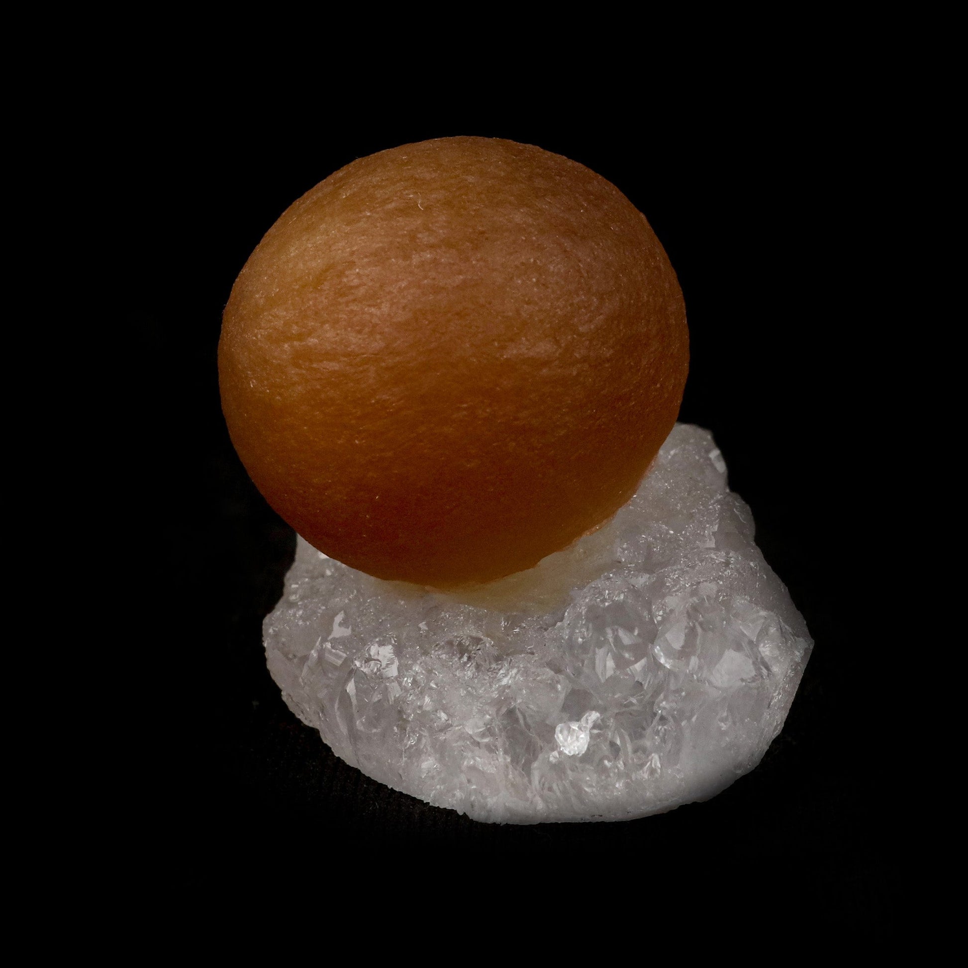 Fluorite Botridoal on MM Quartz Natural Mineral Specimen # B 5143  https://www.superbminerals.us/products/fluorite-botridoal-on-mm-quartz-natural-mineral-specimen-b-5143  Features: These golden botryoidal fluorites are unique and extremely attractive. This specimen features a a very gemmy, good sized, rich golden color, fluorite "sphere" on gemmy, colorless, stubby quartz crystal matrix. Primary Mineral(s): Fluorite Secondary Mineral(s): MM QuartzMatrix: N/A 1.5 Inch x 1 Inch