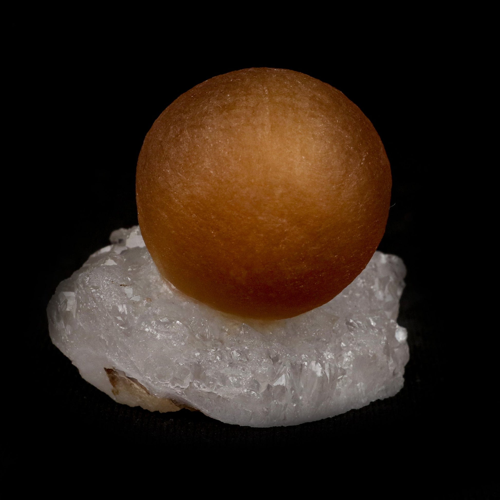 Fluorite Botridoal on MM Quartz Natural Mineral Specimen # B 5143  https://www.superbminerals.us/products/fluorite-botridoal-on-mm-quartz-natural-mineral-specimen-b-5143  Features: These golden botryoidal fluorites are unique and extremely attractive. This specimen features a a very gemmy, good sized, rich golden color, fluorite "sphere" on gemmy, colorless, stubby quartz crystal matrix. Primary Mineral(s): Fluorite Secondary Mineral(s): MM QuartzMatrix: N/A 1.5 Inch x 1 Inch
