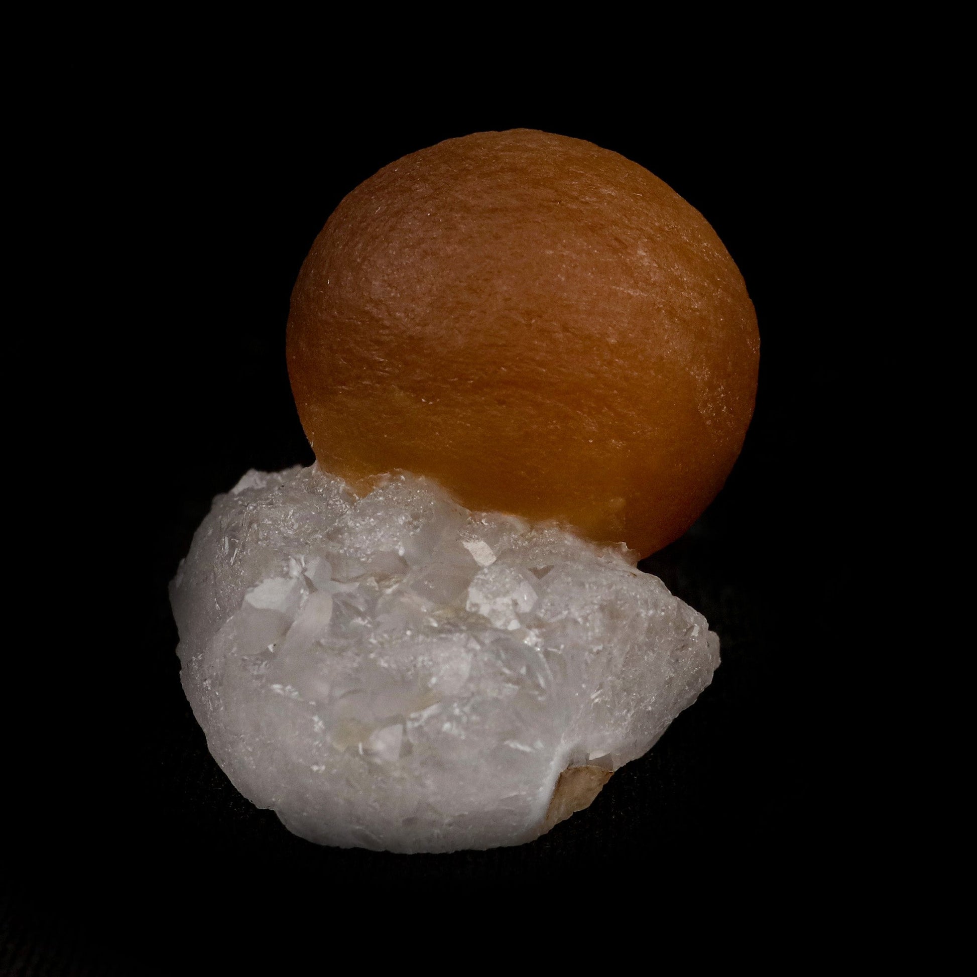 Fluorite Botridoal on MM Quartz Natural Mineral Specimen # B 5143  https://www.superbminerals.us/products/fluorite-botridoal-on-mm-quartz-natural-mineral-specimen-b-5143  Features: These golden botryoidal fluorites are unique and extremely attractive. This specimen features a a very gemmy, good sized, rich golden color, fluorite "sphere" on gemmy, colorless, stubby quartz crystal matrix. Primary Mineral(s): Fluorite Secondary Mineral(s): MM QuartzMatrix: N/A 1.5 Inch x 1 Inch