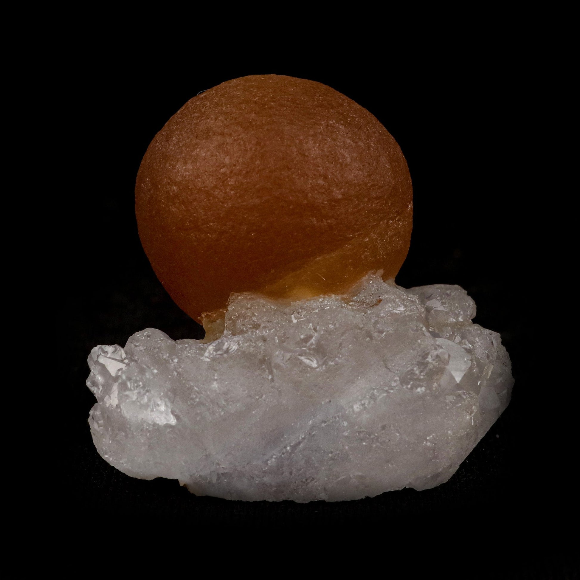 Fluorite Botridoal on MM Quartz Natural Mineral Specimen # B 5143  https://www.superbminerals.us/products/fluorite-botridoal-on-mm-quartz-natural-mineral-specimen-b-5143  Features: These golden botryoidal fluorites are unique and extremely attractive. This specimen features a a very gemmy, good sized, rich golden color, fluorite "sphere" on gemmy, colorless, stubby quartz crystal matrix. Primary Mineral(s): Fluorite Secondary Mineral(s): MM QuartzMatrix: N/A 1.5 Inch x 1 Inch