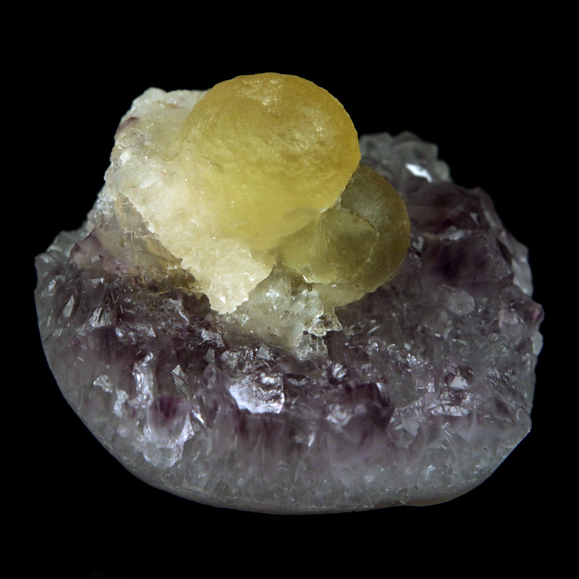 Fluorite Botryoidal on Amethyst Natural Mineral Specimen # B 4888  https://www.superbminerals.us/products/fluorite-botryoidal-on-amethyst-natural-mineral-specimen-b-4888  Features: An extraordinarily botryoidal "ball" of Fluorite is perched atop an exceptionally rich purple coloured Amethyst on Chalcedony and host rock matrix, creating an unusually beautiful specimen