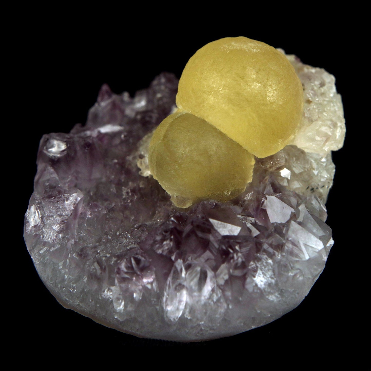 Fluorite Botryoidal on Amethyst Natural Mineral Specimen # B 4888  https://www.superbminerals.us/products/fluorite-botryoidal-on-amethyst-natural-mineral-specimen-b-4888  Features: An extraordinarily botryoidal "ball" of Fluorite is perched atop an exceptionally rich purple coloured Amethyst on Chalcedony and host rock matrix, creating an unusually beautiful specimen