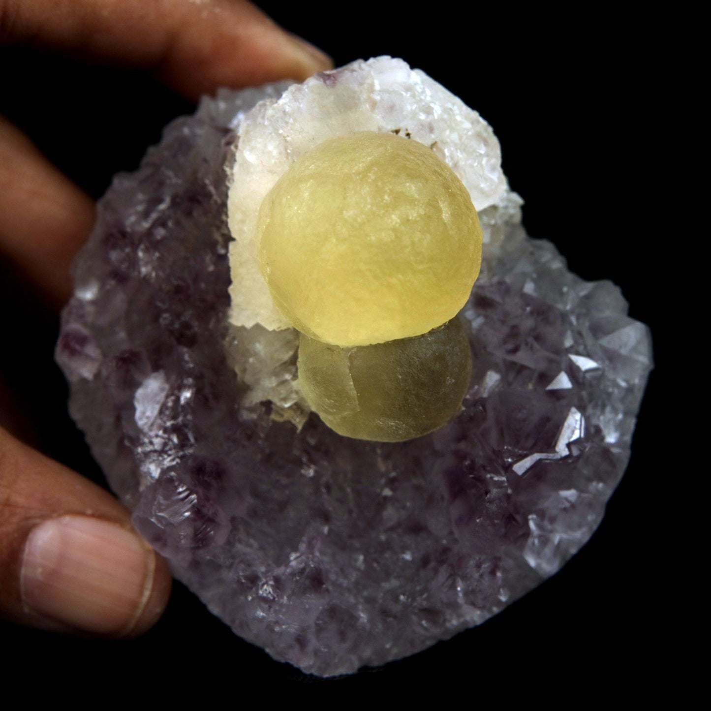 Fluorite Botryoidal on Amethyst Natural Mineral Specimen # B 4888  https://www.superbminerals.us/products/fluorite-botryoidal-on-amethyst-natural-mineral-specimen-b-4888  Features: An extraordinarily botryoidal "ball" of Fluorite is perched atop an exceptionally rich purple coloured Amethyst on Chalcedony and host rock matrix, creating an unusually beautiful specimen