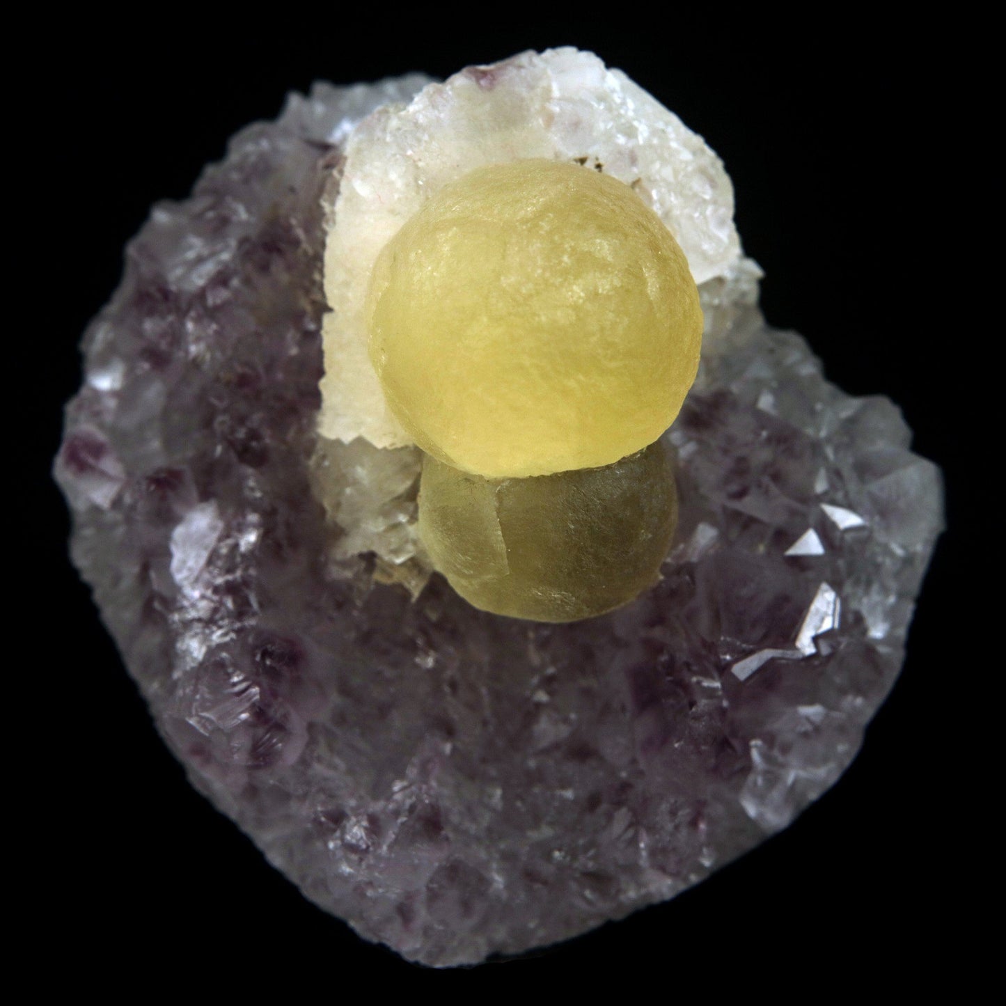 Fluorite Botryoidal on Amethyst Natural Mineral Specimen # B 4888  https://www.superbminerals.us/products/fluorite-botryoidal-on-amethyst-natural-mineral-specimen-b-4888  Features: An extraordinarily botryoidal "ball" of Fluorite is perched atop an exceptionally rich purple coloured Amethyst on Chalcedony and host rock matrix, creating an unusually beautiful specimen