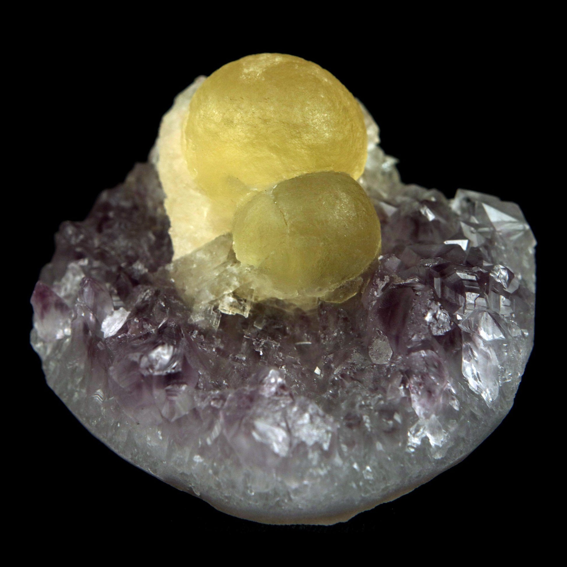 Fluorite Botryoidal on Amethyst Natural Mineral Specimen # B 4888  https://www.superbminerals.us/products/fluorite-botryoidal-on-amethyst-natural-mineral-specimen-b-4888  Features: An extraordinarily botryoidal "ball" of Fluorite is perched atop an exceptionally rich purple coloured Amethyst on Chalcedony and host rock matrix, creating an unusually beautiful specimen