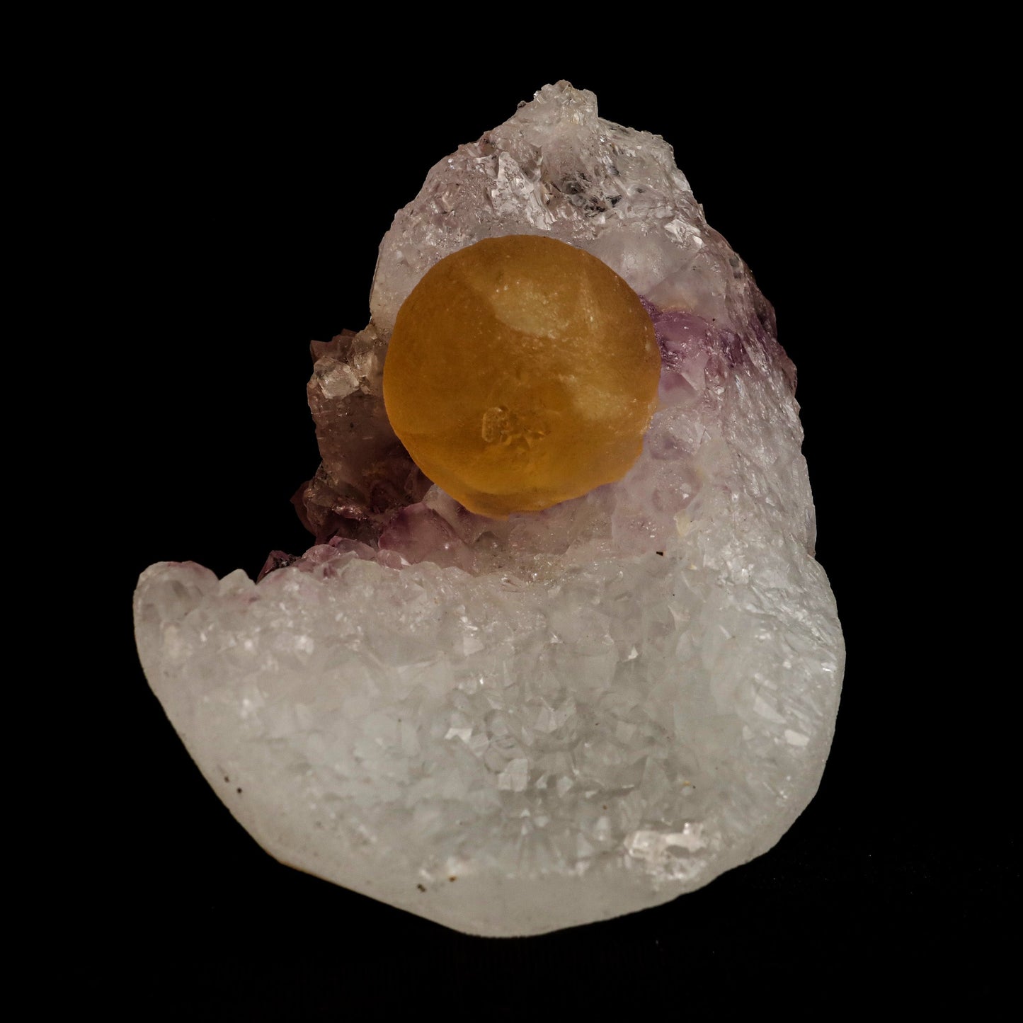 Fluorite Botryoidal on Amethyst Natural Mineral Specimen # B 5058  https://www.superbminerals.us/products/fluorite-botryoidal-on-amethyst-natural-mineral-specimen-b-5058  Features: An extraordinarily botryoidal "ball" of Fluorite is perched atop an exceptionally rich purple coloured Amethyst on Chalcedony and host rock matrix, creating an unusually beautiful specimen.&nbsp; On the surface, the Fluorite is a creamy-white tone that gradually fades away to a golden hue in the middle.