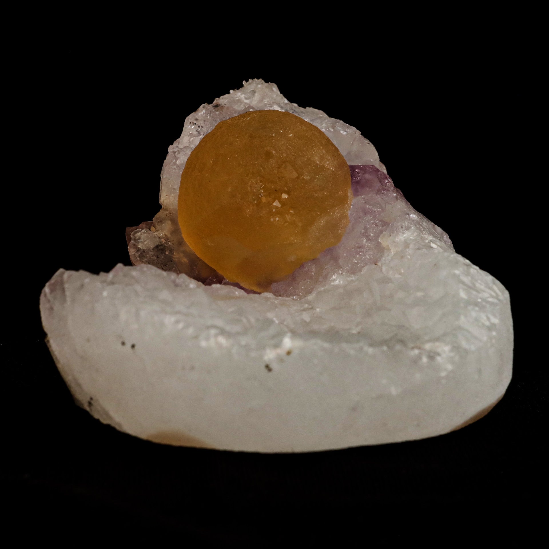 Fluorite Botryoidal on Amethyst Natural Mineral Specimen # B 5058  https://www.superbminerals.us/products/fluorite-botryoidal-on-amethyst-natural-mineral-specimen-b-5058  Features: An extraordinarily botryoidal "ball" of Fluorite is perched atop an exceptionally rich purple coloured Amethyst on Chalcedony and host rock matrix, creating an unusually beautiful specimen.&nbsp; On the surface, the Fluorite is a creamy-white tone that gradually fades away to a golden hue in the middle.