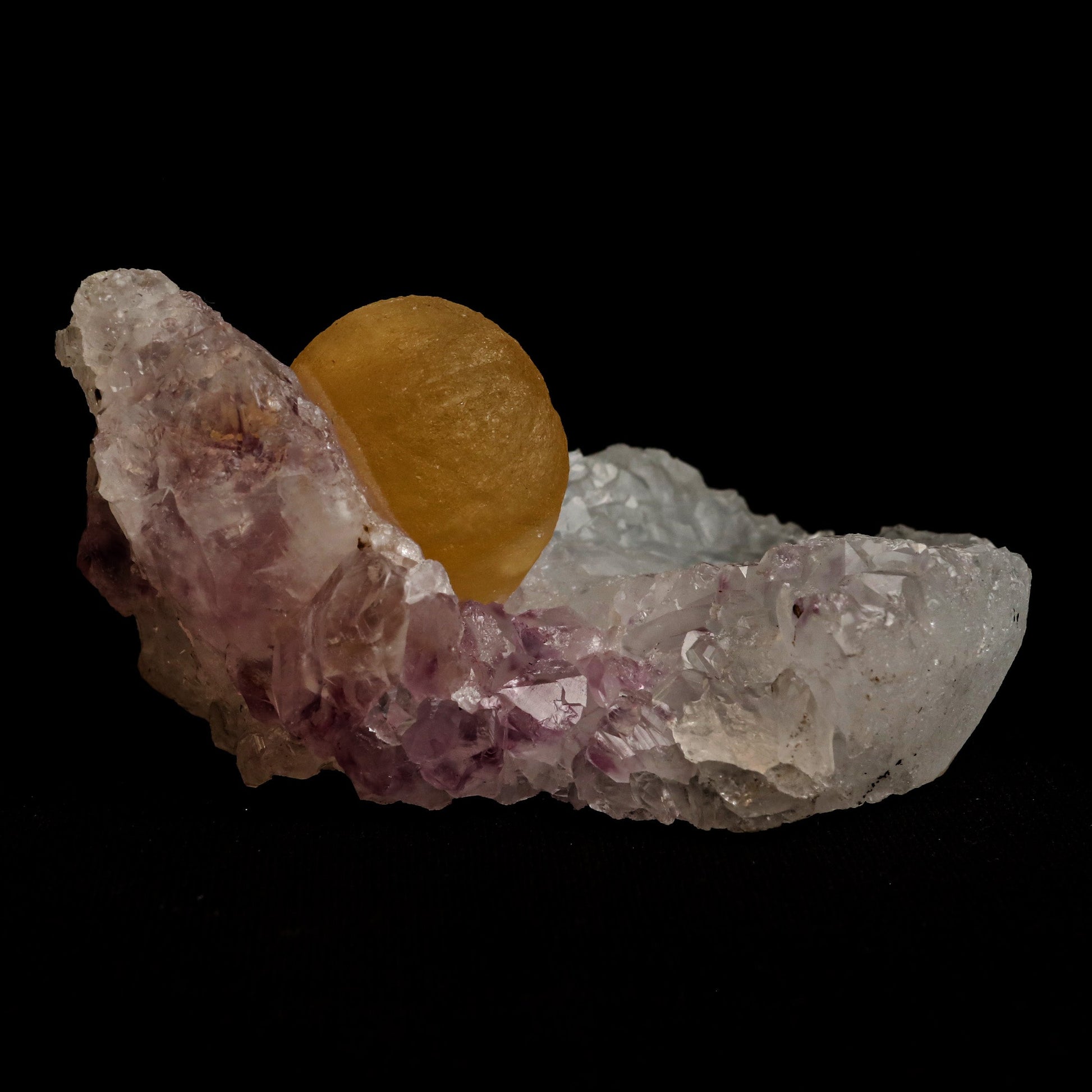 Fluorite Botryoidal on Amethyst Natural Mineral Specimen # B 5058  https://www.superbminerals.us/products/fluorite-botryoidal-on-amethyst-natural-mineral-specimen-b-5058  Features: An extraordinarily botryoidal "ball" of Fluorite is perched atop an exceptionally rich purple coloured Amethyst on Chalcedony and host rock matrix, creating an unusually beautiful specimen.&nbsp; On the surface, the Fluorite is a creamy-white tone that gradually fades away to a golden hue in the middle.