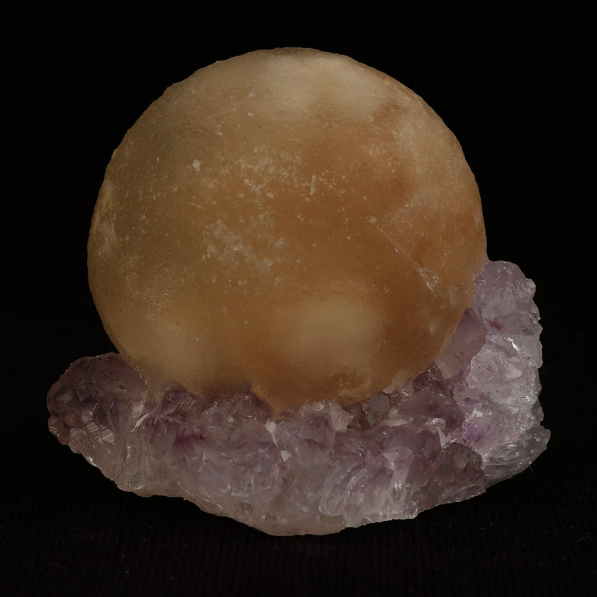 Fluorite Botryoidal on Amethyst Natural Mineral Specimen # B 5078  https://www.superbminerals.us/products/fluorite-botryoidal-on-amethyst-natural-mineral-specimen-b-5078  Features: An extraordinarily botryoidal "ball" of Fluorite is perched atop an exceptionally rich purple coloured Amethyst on Chalcedony and host rock matrix, creating an unusually beautiful specimen.&nbsp; On the surface, the Fluorite is a creamy-white tone that gradually fades away to a golden hue in the middle.