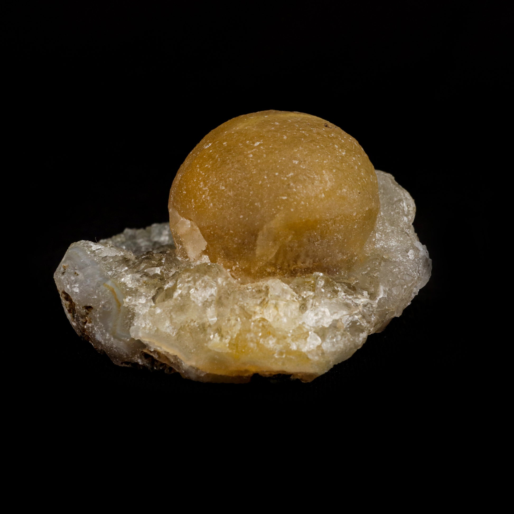 Fluorite Botryoidal on MM Quartz Natural Mineral Specimen # B 5086  https://www.superbminerals.us/products/fluorite-botryoidal-on-mm-quartz-natural-mineral-specimen-b-5086  Features: These golden botryoidal fluorites are unique and extremely attractive. This specimen features a a very gemmy, good sized, rich golden color, fluorite "sphere" on gemmy, colorless, stubby quartz crystal matrix. Primary Mineral(s): FluoriteSecondary Mineral(s): MM QuartzMatrix: N/A 2 Inch x 2 Inch