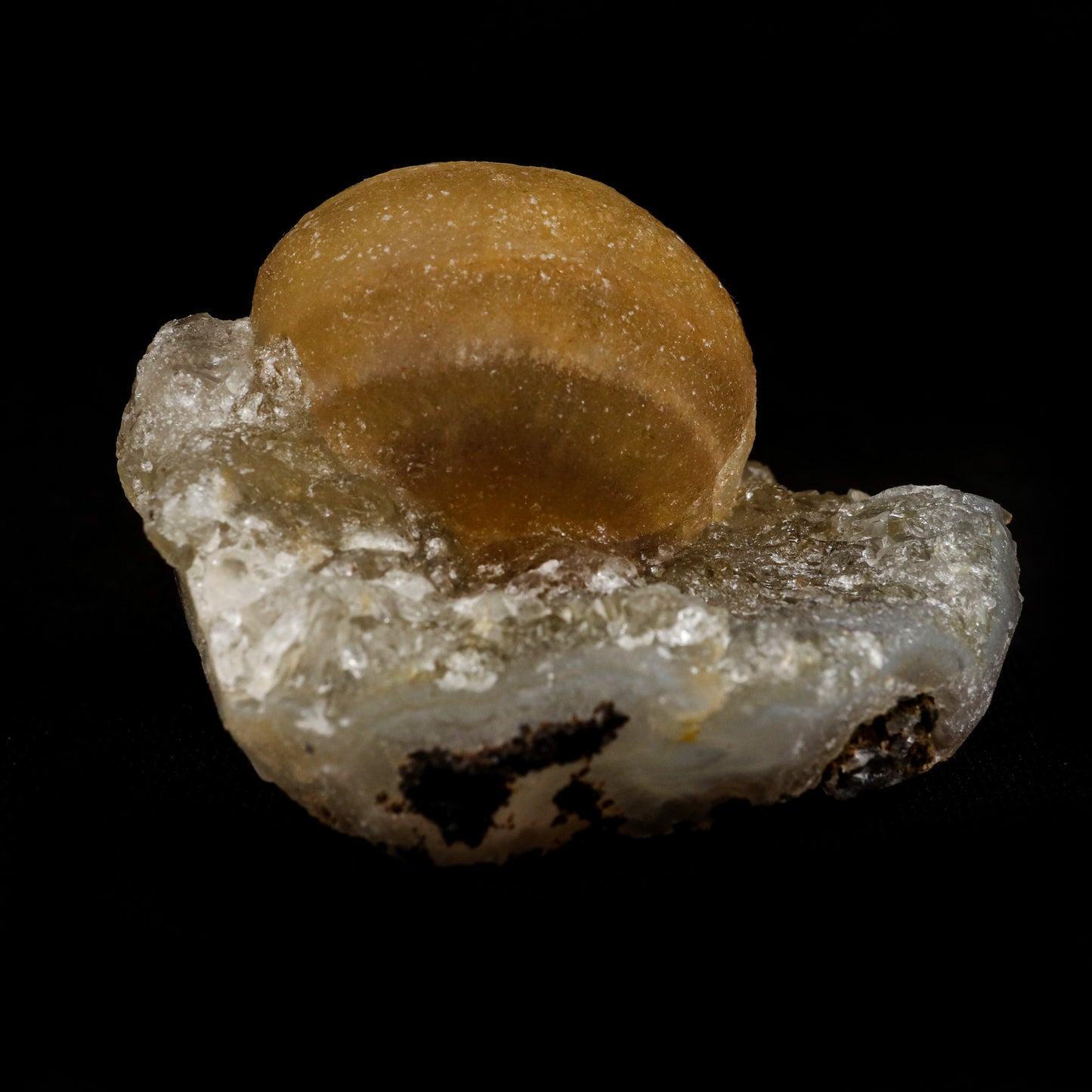 Fluorite Botryoidal on MM Quartz Natural Mineral Specimen # B 5086  https://www.superbminerals.us/products/fluorite-botryoidal-on-mm-quartz-natural-mineral-specimen-b-5086  Features: These golden botryoidal fluorites are unique and extremely attractive. This specimen features a a very gemmy, good sized, rich golden color, fluorite "sphere" on gemmy, colorless, stubby quartz crystal matrix. Primary Mineral(s): FluoriteSecondary Mineral(s): MM QuartzMatrix: N/A 2 Inch x 2 Inch