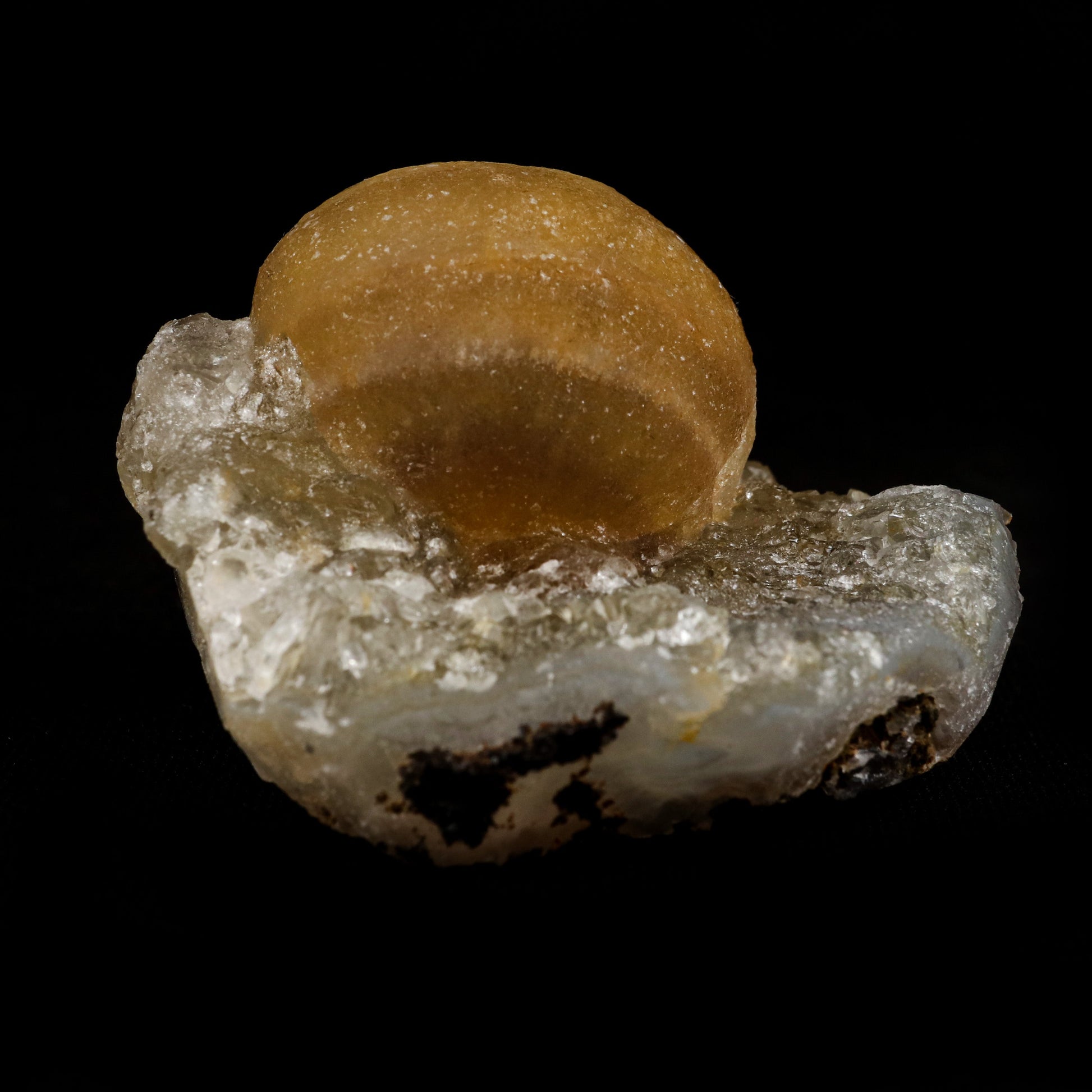 Fluorite Botryoidal on MM Quartz Natural Mineral Specimen # B 5086  https://www.superbminerals.us/products/fluorite-botryoidal-on-mm-quartz-natural-mineral-specimen-b-5086  Features: These golden botryoidal fluorites are unique and extremely attractive. This specimen features a a very gemmy, good sized, rich golden color, fluorite "sphere" on gemmy, colorless, stubby quartz crystal matrix. Primary Mineral(s): FluoriteSecondary Mineral(s): MM QuartzMatrix: N/A 2 Inch x 2 Inch