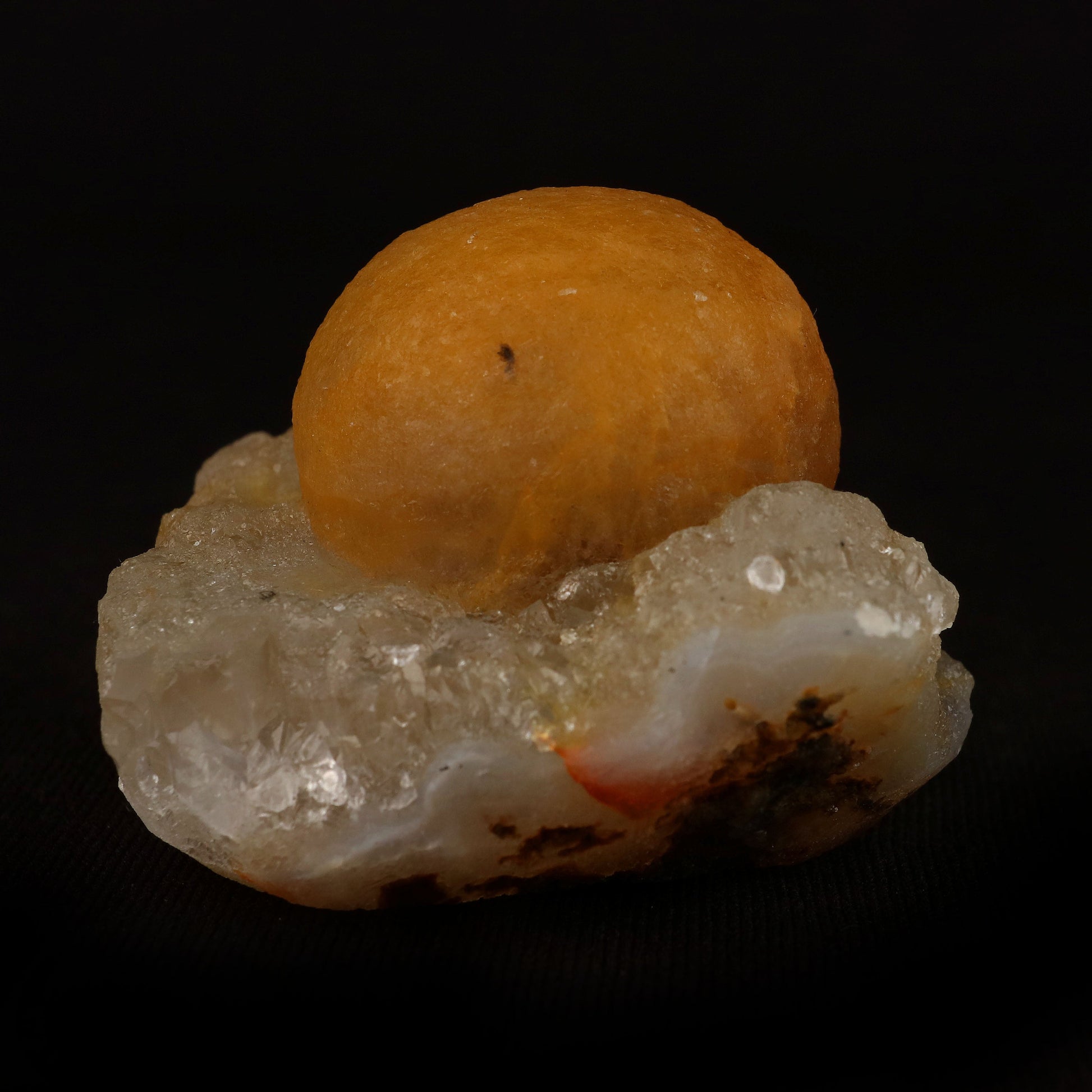 Fluorite Botryoidal On MM Quartz Natural Mineral Specimen # B 5091  https://www.superbminerals.us/products/fluorite-botryoidal-on-mm-quartz-natural-mineral-specimen-b-5091  Features: These golden botryoidal fluorites are unique and extremely attractive. This specimen features a a very gemmy, good sized, rich golden color, fluorite "sphere" on gemmy, colorless, stubby quartz crystal matrix. Primary Mineral(s): FluoriteSecondary Mineral(s): MM QuartzMatrix: N/A 2 Inch x 1.5 InchWeight : 89 …