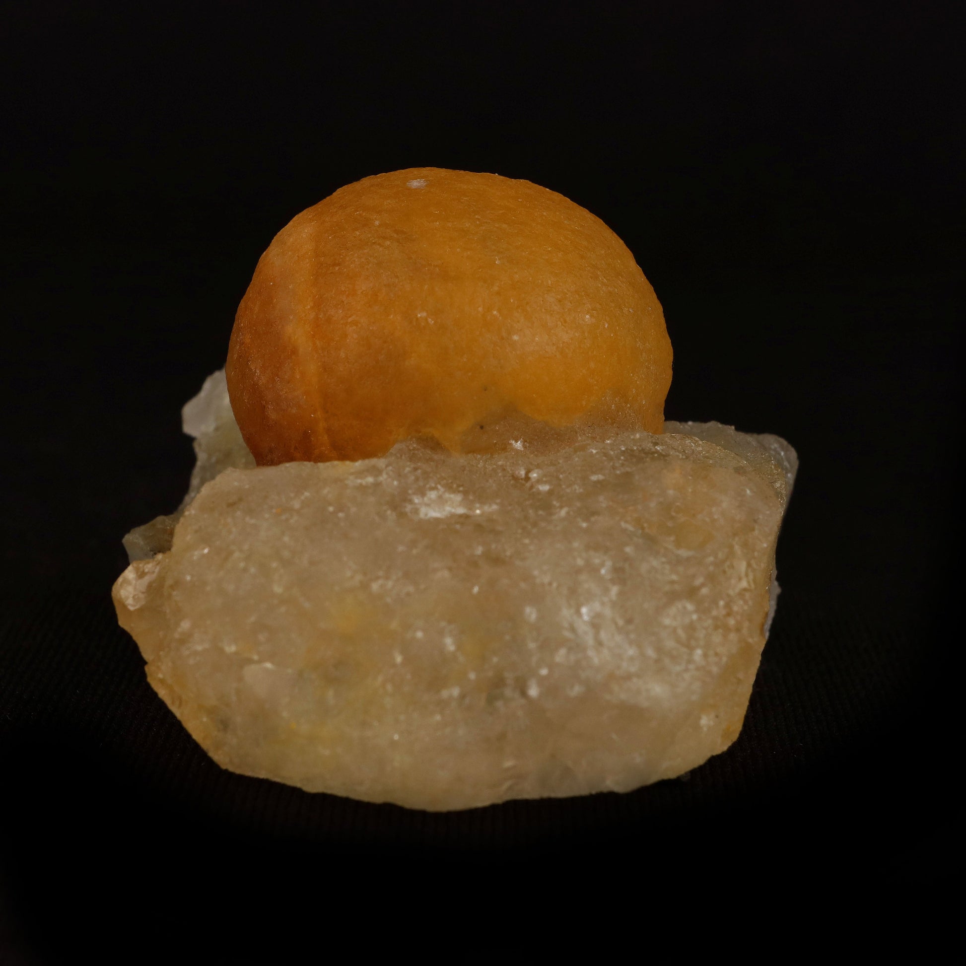 Fluorite Botryoidal On MM Quartz Natural Mineral Specimen # B 5091  https://www.superbminerals.us/products/fluorite-botryoidal-on-mm-quartz-natural-mineral-specimen-b-5091  Features: These golden botryoidal fluorites are unique and extremely attractive. This specimen features a a very gemmy, good sized, rich golden color, fluorite "sphere" on gemmy, colorless, stubby quartz crystal matrix. Primary Mineral(s): FluoriteSecondary Mineral(s): MM QuartzMatrix: N/A 2 Inch x 1.5 InchWeight : 89 …