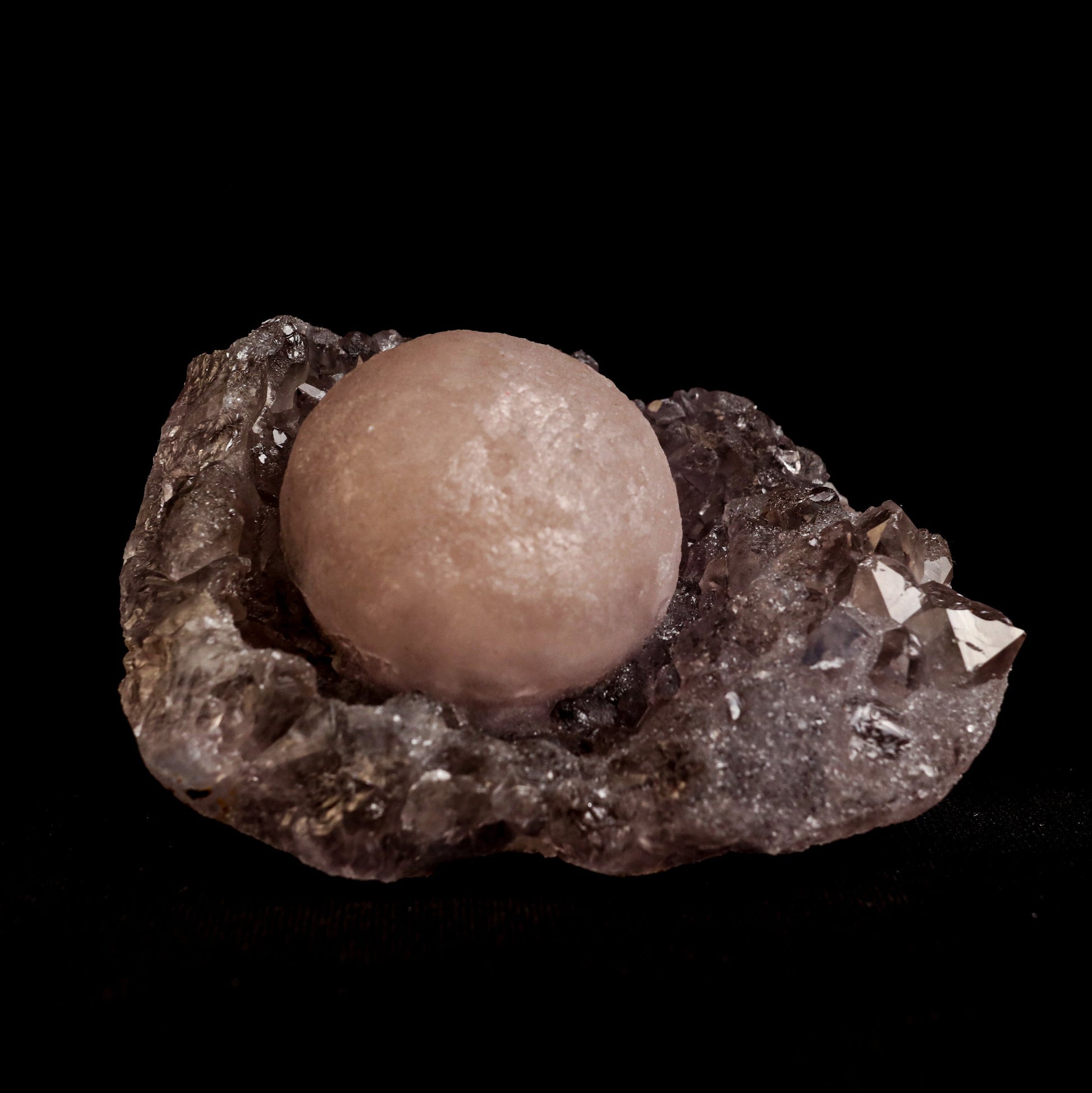 Fluorite Botryoidal on Quartz Natural Mineral Specimen # B 5042  https://www.superbminerals.us/products/fluorite-botryoidal-on-quartz-natural-mineral-specimen-b-5042  Features: This specimen is a great example of this well-known material, with a delicate golden-yellow sphere sitting on a somewhat smokey colour Quartz crystal matrix.It's crucial to note that the Quartz is crystallised, as many pieces from this locality have Fluorite atop cryptocrystalline Quartz, such as Chalcedony