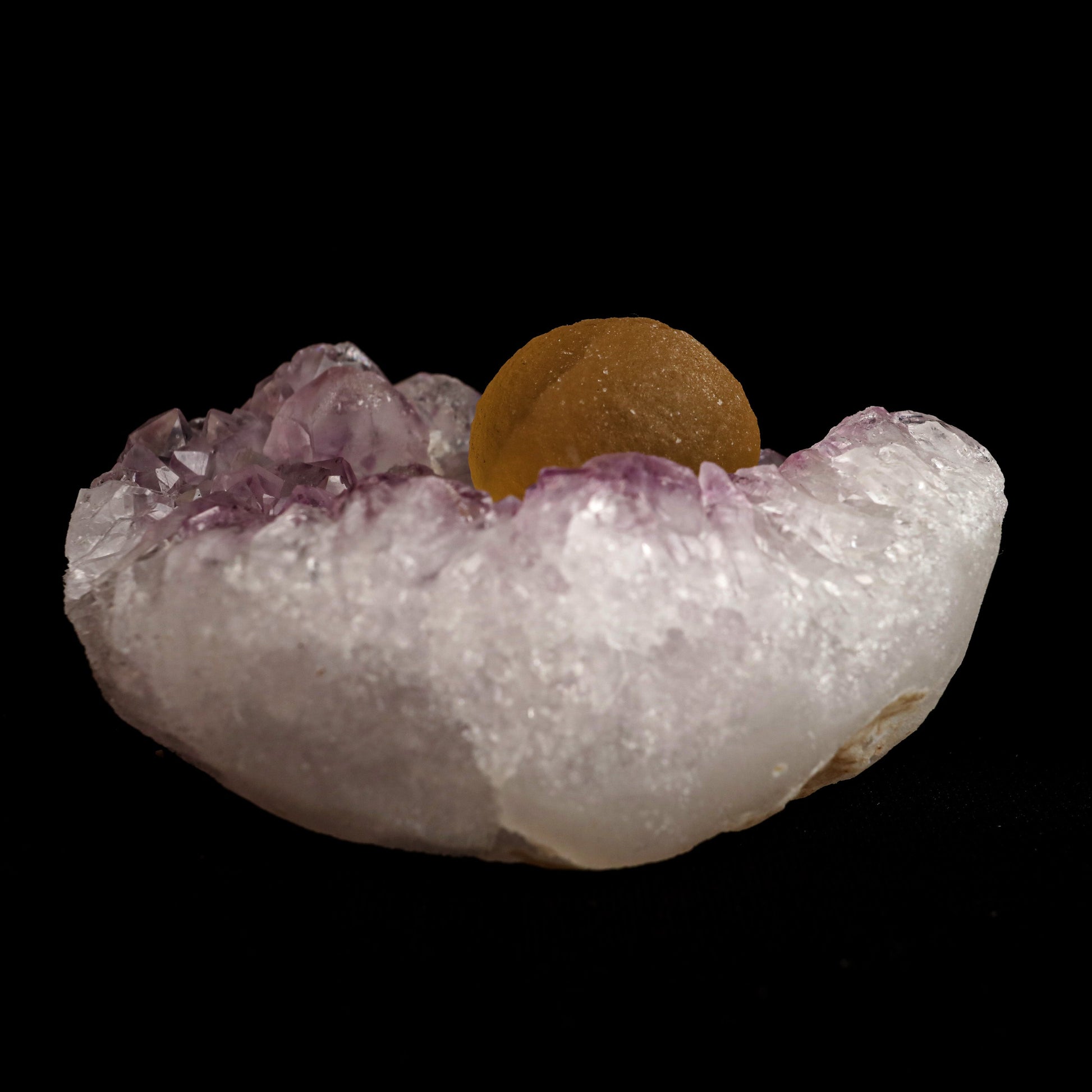 Fluorite Botryoidal Shaded on Amethyst Natural Mineral Specimen # B 5…  https://www.superbminerals.us/products/fluorite-botryoidal-shaded-on-amethyst-natural-mineral-specimen-b-5067  Features: A prominent botryoidal "ball" of Fluorite perches on light purple coloured Amethyst and soft lilac coloured Chalcedony matrix in this specimen. The Fluorite has a gorgeous golden tone throughout, and when the "ball" is lighted, the colour GLOWS. A supplementary Fluorite sphere at a lesser size 