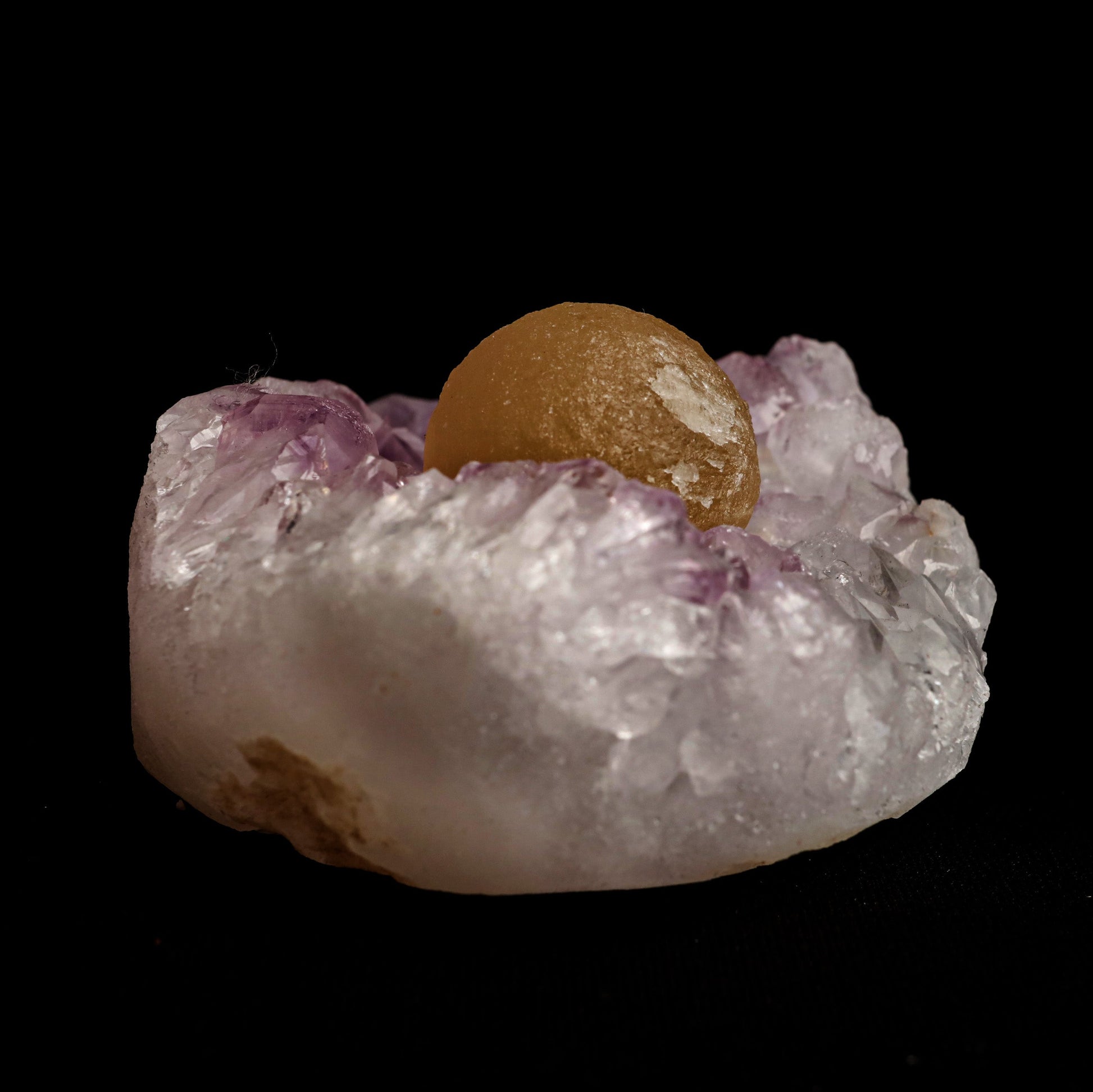 Fluorite Botryoidal Shaded on Amethyst Natural Mineral Specimen # B 5…  https://www.superbminerals.us/products/fluorite-botryoidal-shaded-on-amethyst-natural-mineral-specimen-b-5067  Features: A prominent botryoidal "ball" of Fluorite perches on light purple coloured Amethyst and soft lilac coloured Chalcedony matrix in this specimen. The Fluorite has a gorgeous golden tone throughout, and when the "ball" is lighted, the colour GLOWS. A supplementary Fluorite sphere at a lesser size 