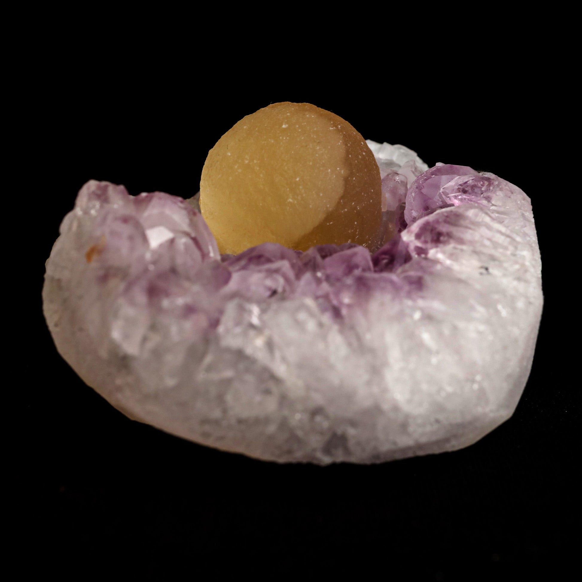 Fluorite Botryoidal Shaded on Amethyst Natural Mineral Specimen # B 5…  https://www.superbminerals.us/products/fluorite-botryoidal-shaded-on-amethyst-natural-mineral-specimen-b-5067  Features: A prominent botryoidal "ball" of Fluorite perches on light purple coloured Amethyst and soft lilac coloured Chalcedony matrix in this specimen. The Fluorite has a gorgeous golden tone throughout, and when the "ball" is lighted, the colour GLOWS. A supplementary Fluorite sphere at a lesser size 