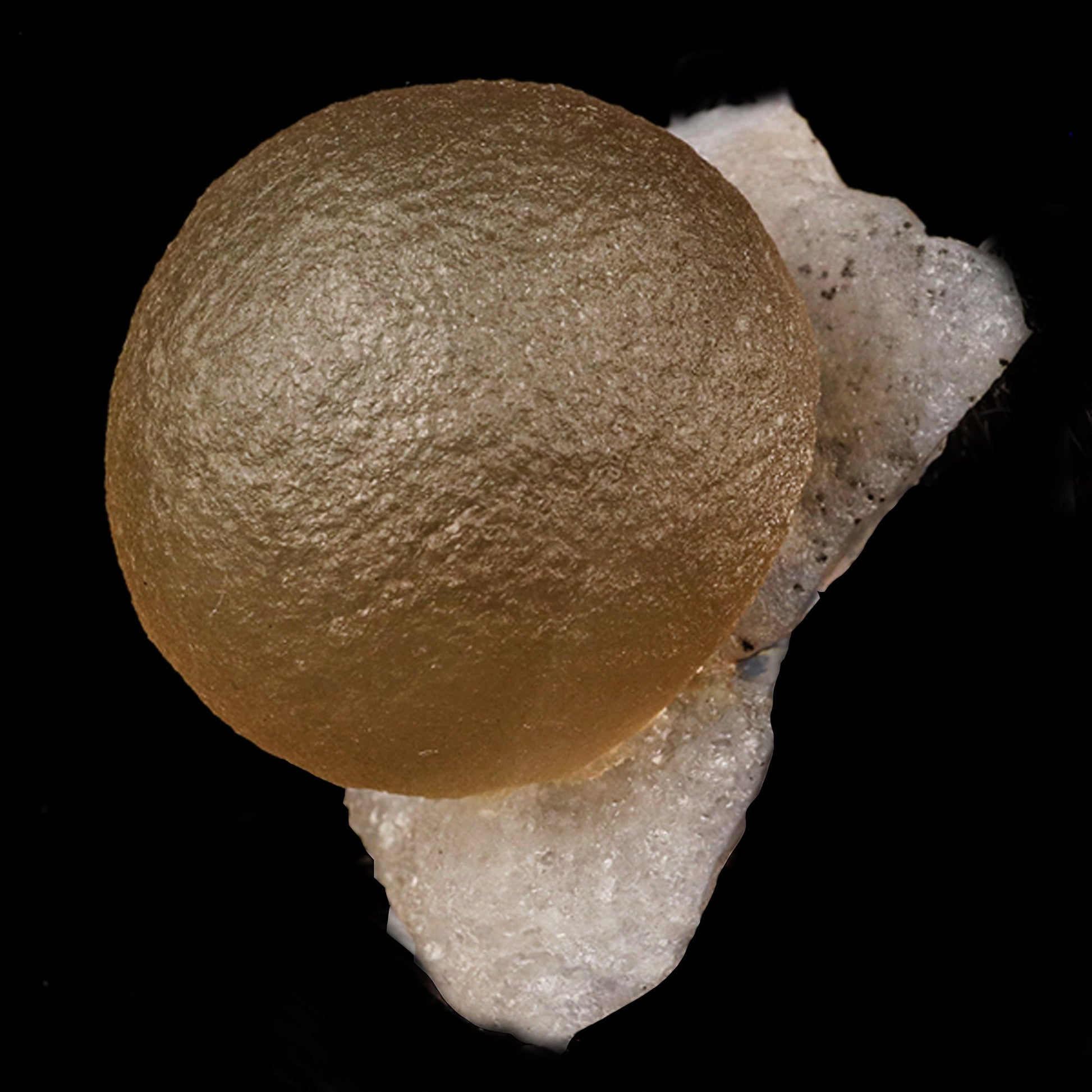 Fluorite Huge balls on MM Quartz Natural Mineral Specimen # B 5946 Fluorite Superb Minerals 