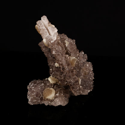 Fluorite on Amethyst Natural Mineral Specimen # B 5608 Fluorite Superb Minerals 