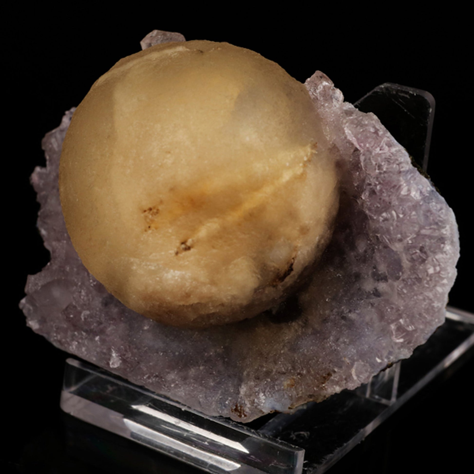 Fluorite on Amethyst Natural Mineral Specimen # B 5621 Fluorite Superb Minerals 