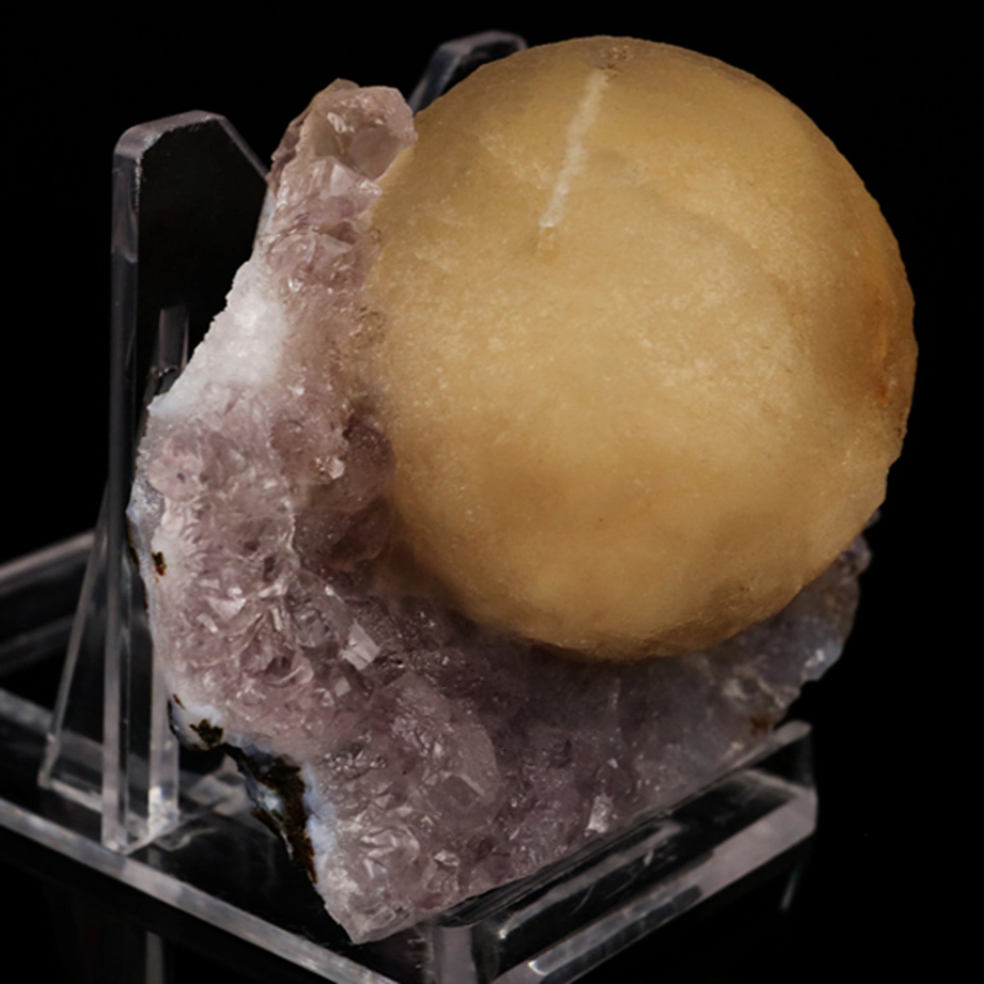 Fluorite on Amethyst Natural Mineral Specimen # B 5621 Fluorite Superb Minerals 