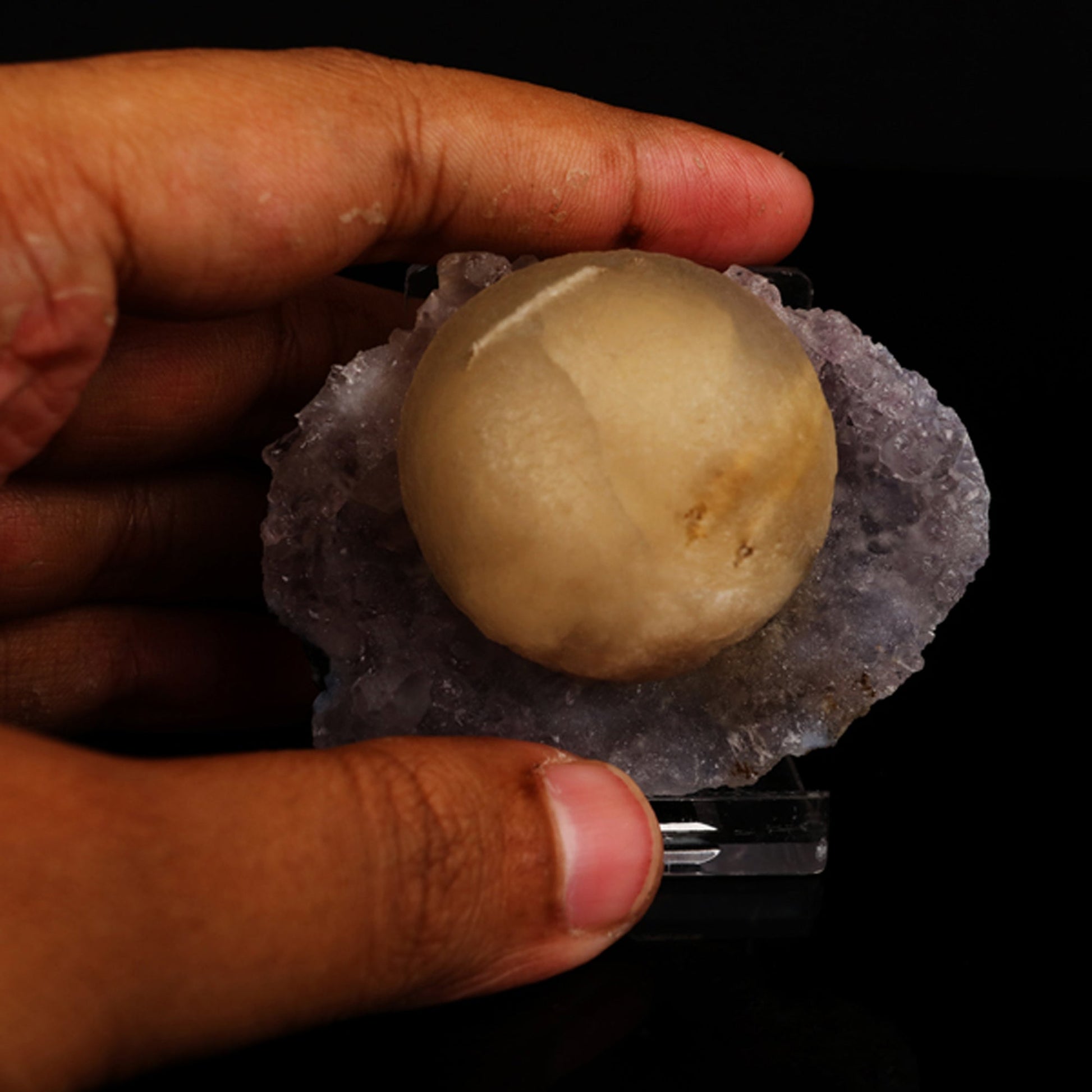 Fluorite on Amethyst Natural Mineral Specimen # B 5621 Fluorite Superb Minerals 