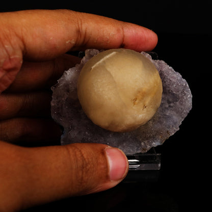 Fluorite on Amethyst Natural Mineral Specimen # B 5621 Fluorite Superb Minerals 