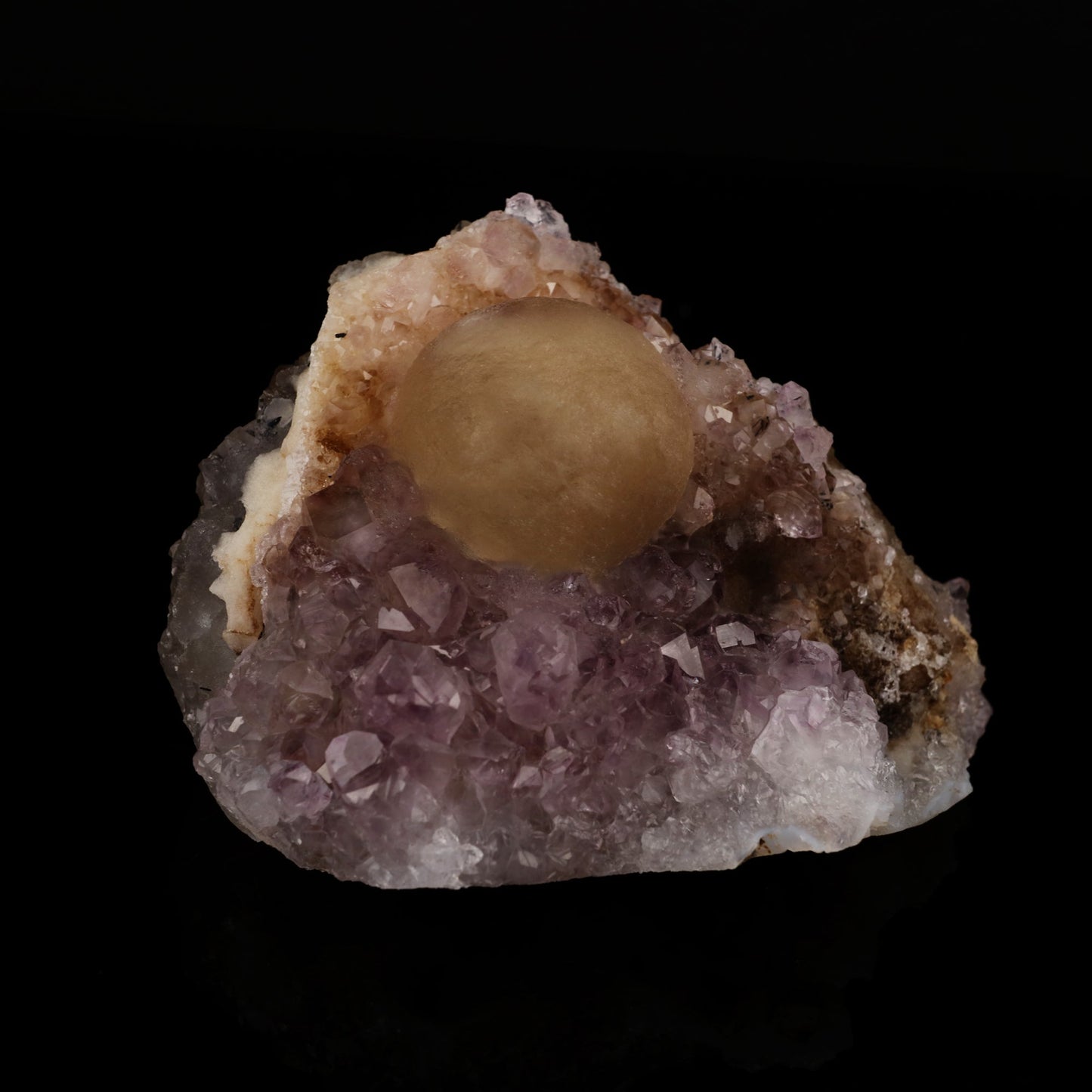 Fluorite on Amethyst Natural Mineral Specimen # B 5637 Fluorite Superb Minerals 