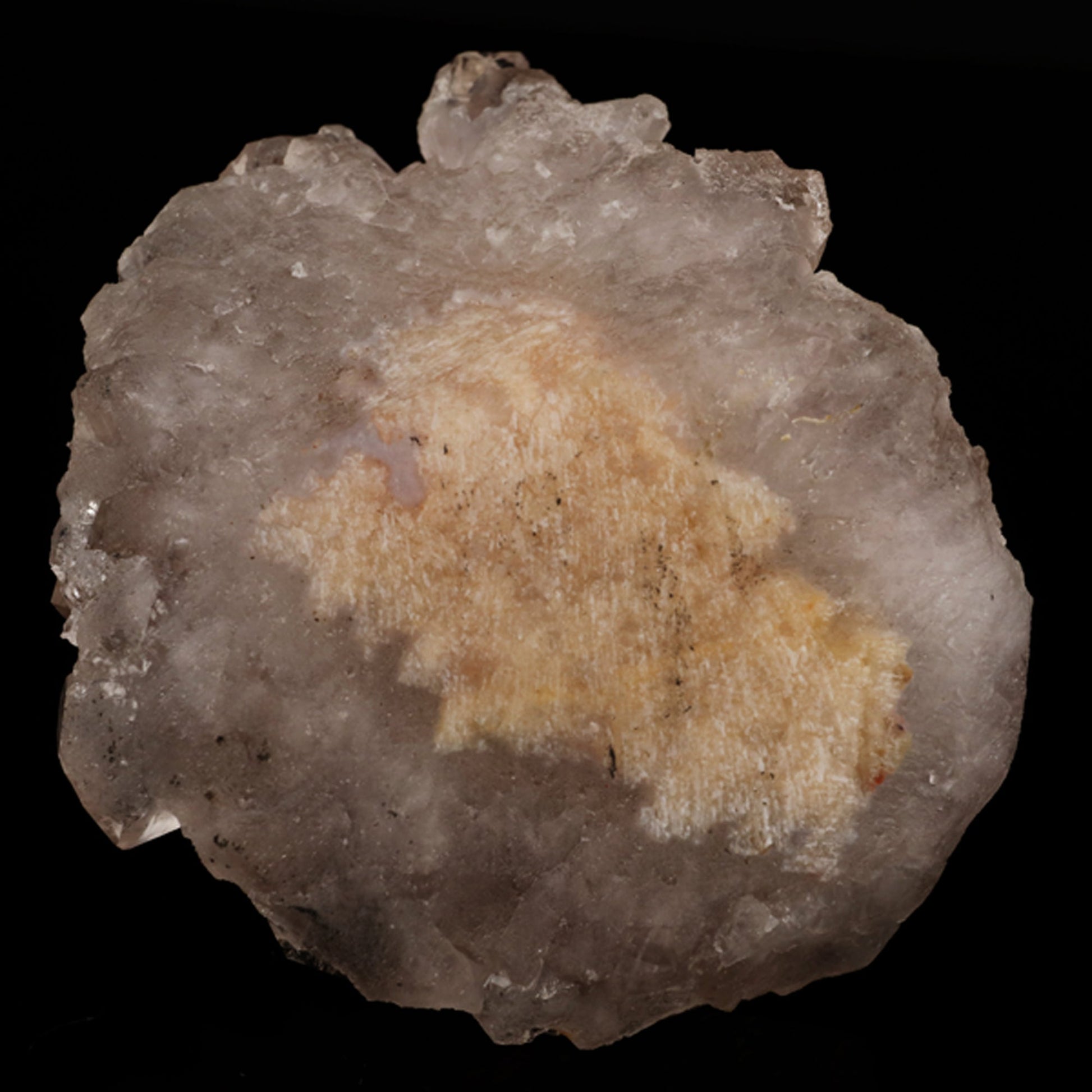 Fluorite on Amethyst Natural Mineral Specimen # B 5645 Fluorite Superb Minerals 