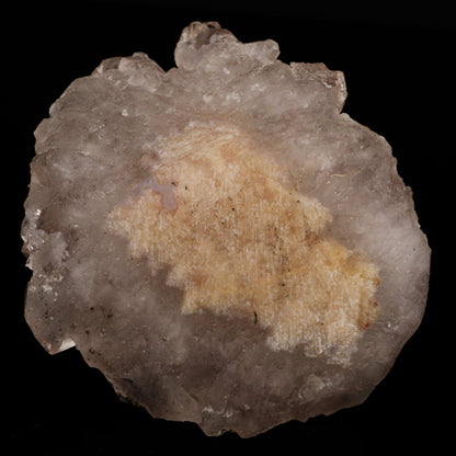 Fluorite on Amethyst Natural Mineral Specimen # B 5645 Fluorite Superb Minerals 