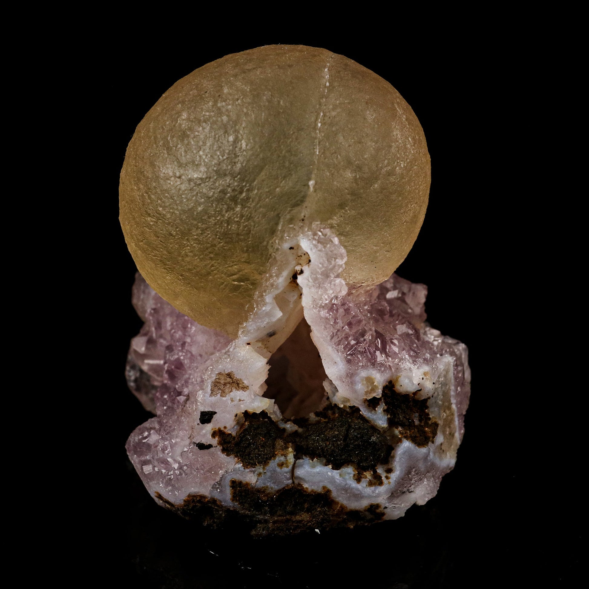 Fluorite on Amethyst Natural Mineral Specimen # B 5720 Fluorite Superb Minerals 