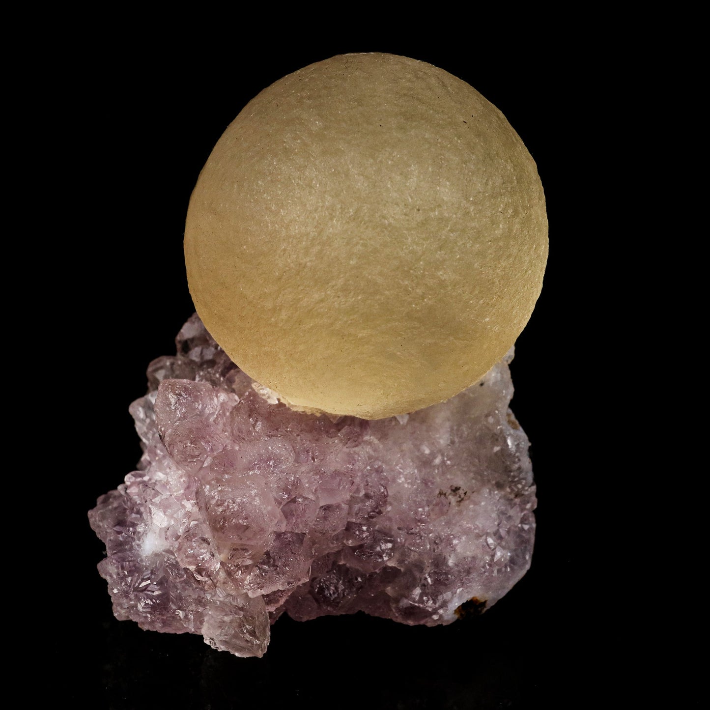 Fluorite on Amethyst Natural Mineral Specimen # B 5720 Fluorite Superb Minerals 