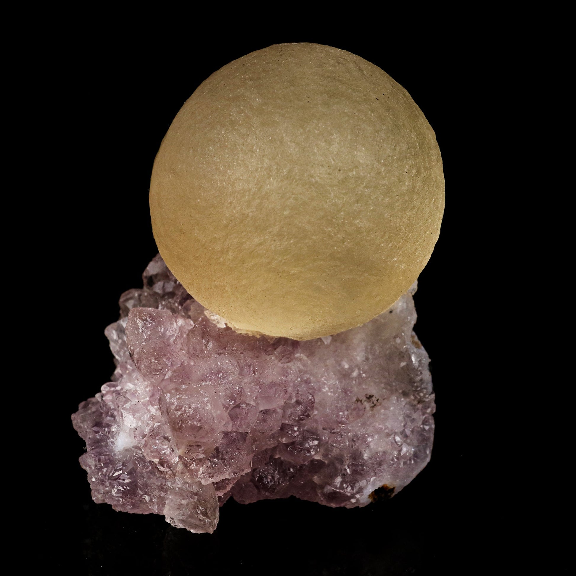 Fluorite on Amethyst Natural Mineral Specimen # B 5720 Fluorite Superb Minerals 