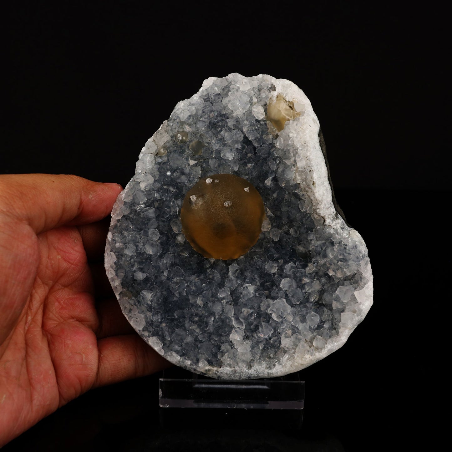 Fluorite on MM Quartz Natural Mineral Specimen # B 5563 Fluorite Superb Minerals 