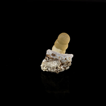 Fluorite on MM Quartz Natural Mineral Specimen # B 5590 Fluorite Superb Minerals 