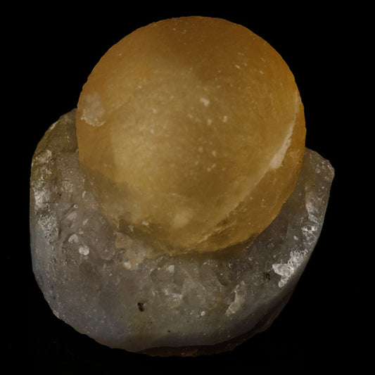 Fluorite on MM Quartz Natural Mineral Specimen # B 5623 Fluorite Superb Minerals 